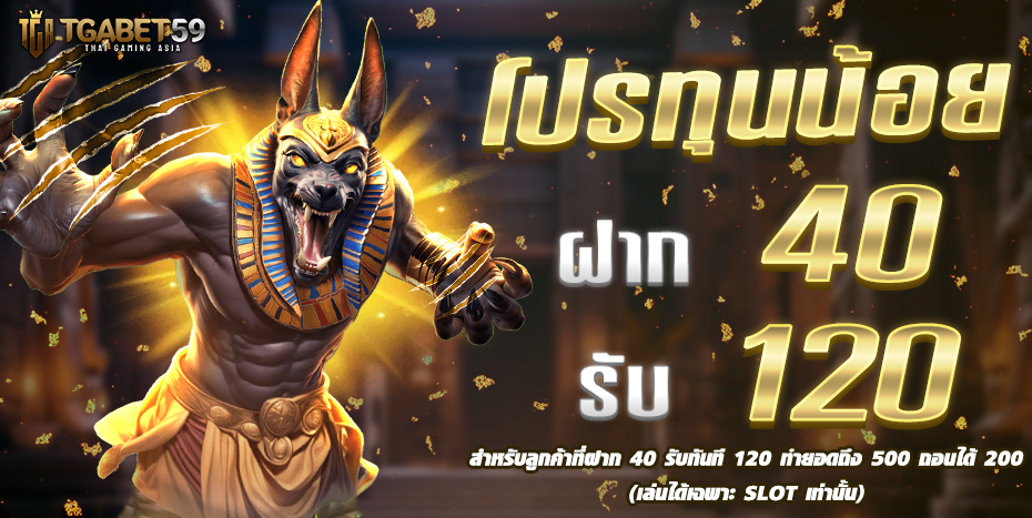 ทดลองเล่นสล็อต ครบทุกค่ายชั้นนำ